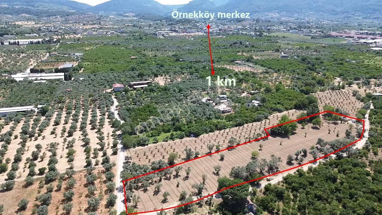 Örnekköy'de Yapı Kayıtlı 2 Evli, Sontaj, Elektrik,köşe Parsel