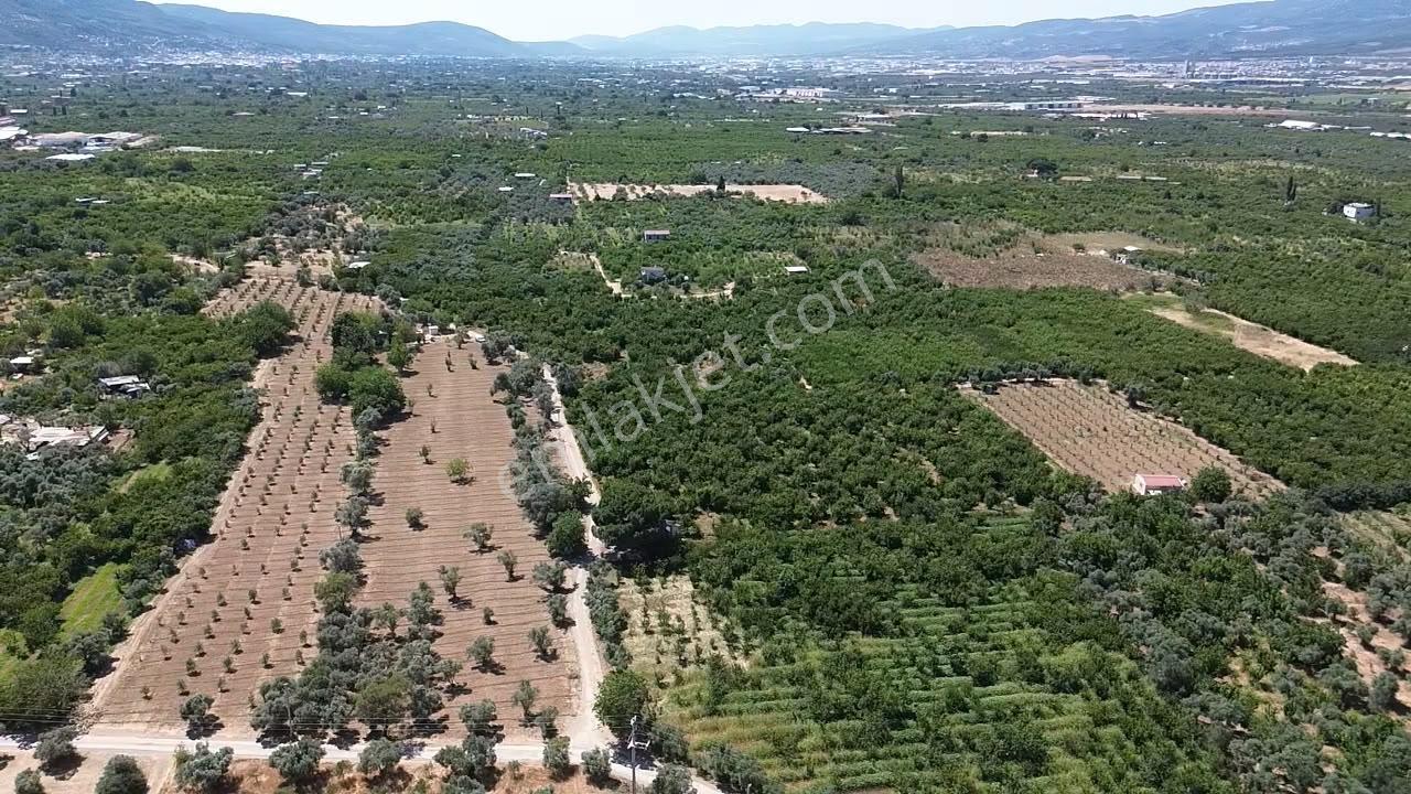 Örnekköy'de Yapı Kayıtlı 2 Evli, Sontaj, Elektrik,köşe Parsel - Görsel 20