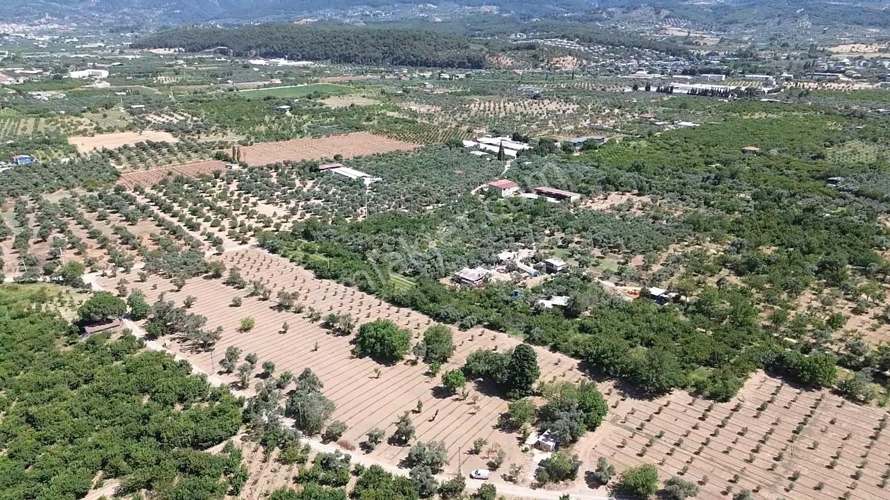 Örnekköy'de Yapı Kayıtlı 2 Evli, Sontaj, Elektrik,köşe Parsel - Görsel 11