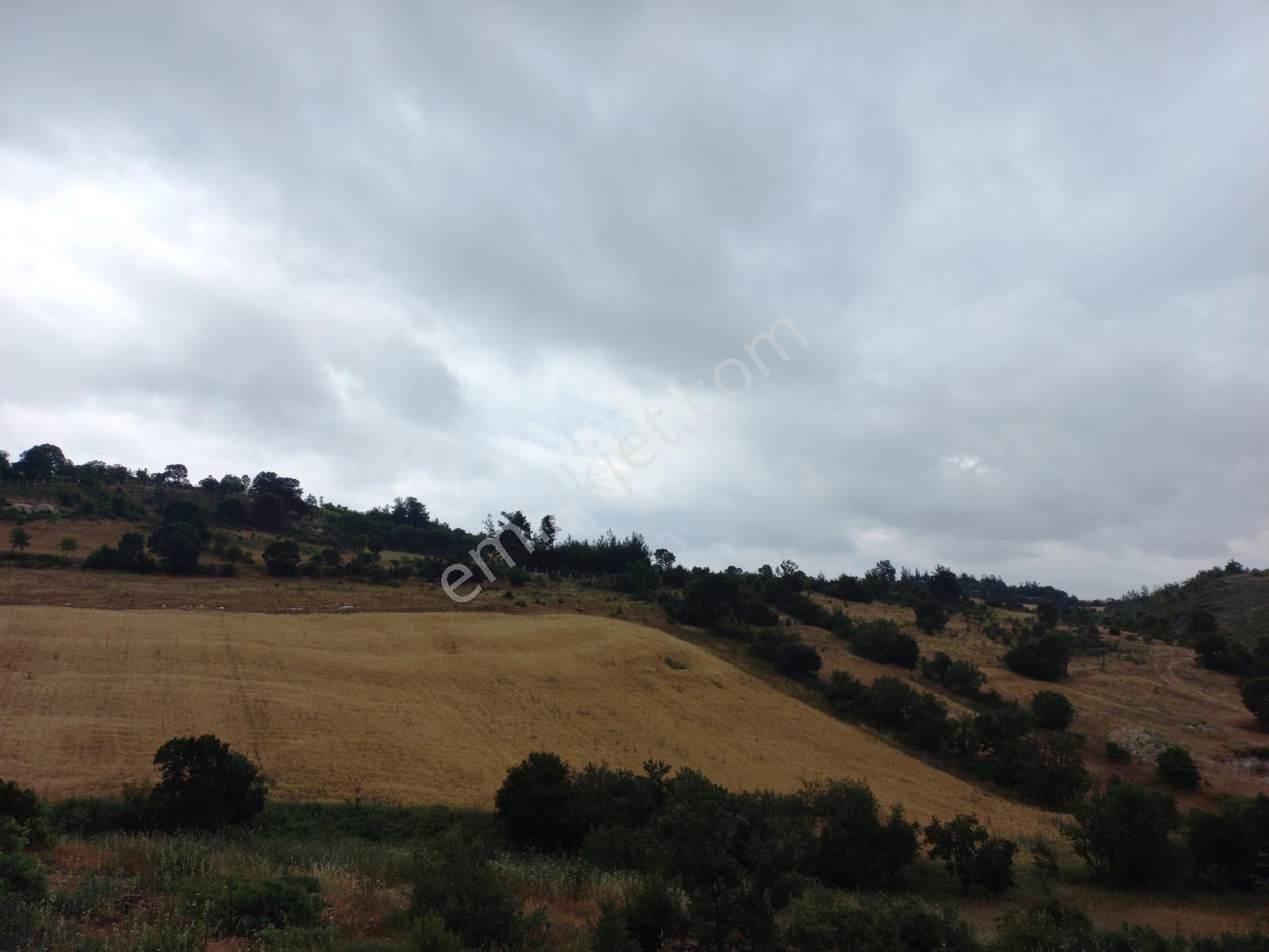 Elfi Den Dişbudak Mah. Satılık 18.400 M2 Tarla Yatırımlık - Görsel 4