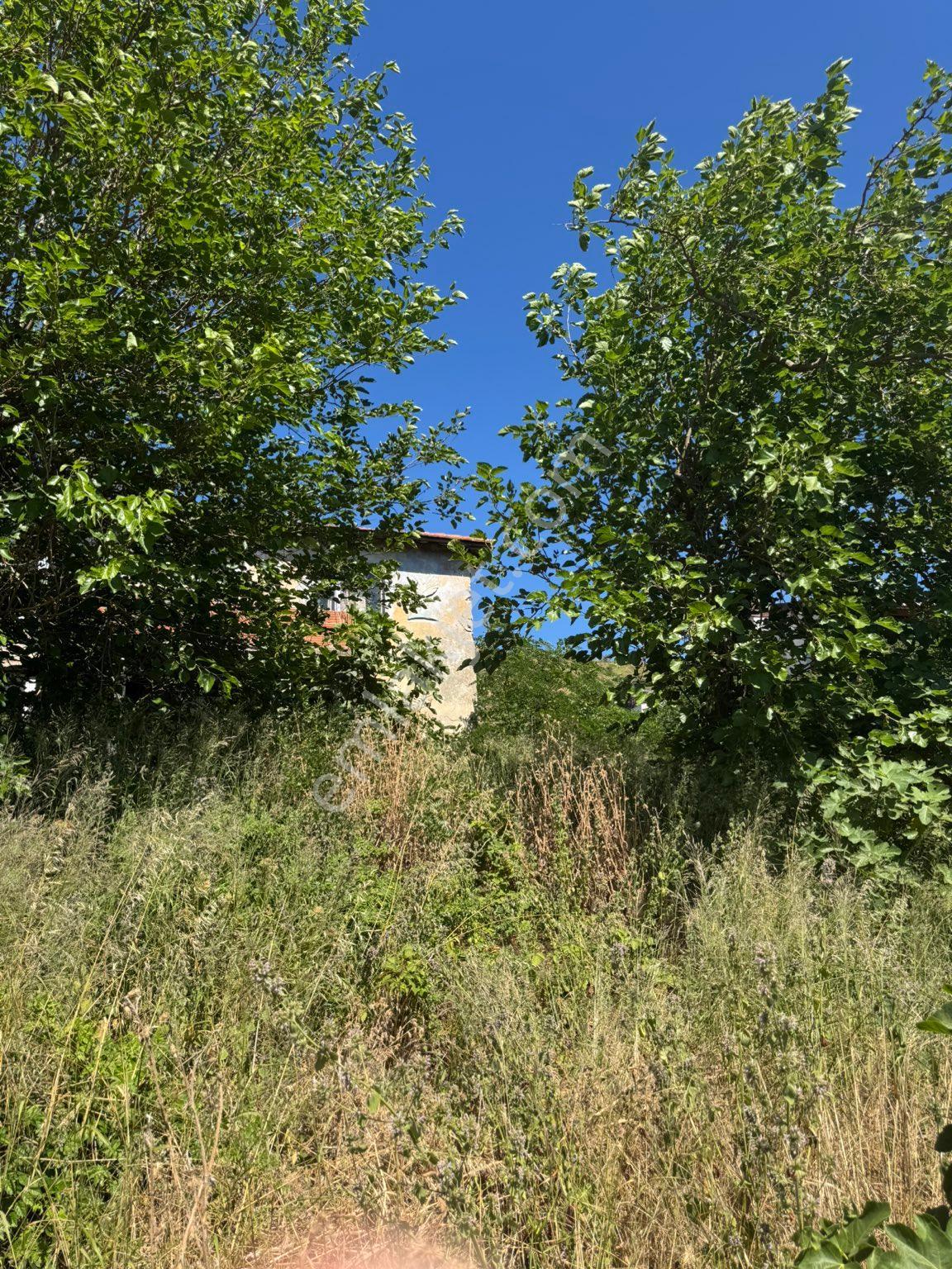Erdek Saklı Cennet Çayağzı'nda Denize 100m, Satılık Arsa & Ahşap Ev Fırsatı - Görsel 20
