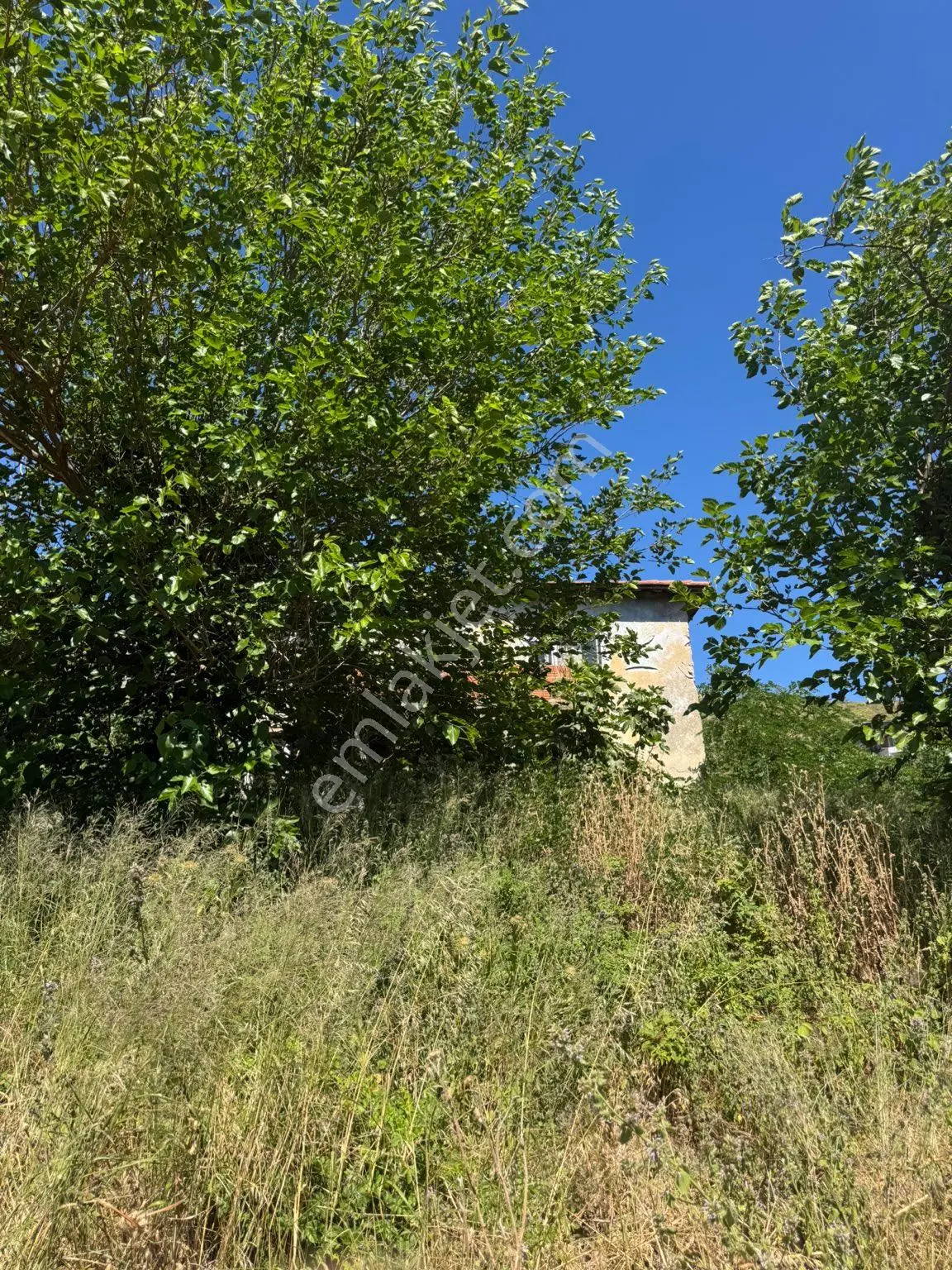 Erdek Saklı Cennet Çayağzı'nda Denize 100m, Satılık Arsa & Ahşap Ev Fırsatı - Görsel 4