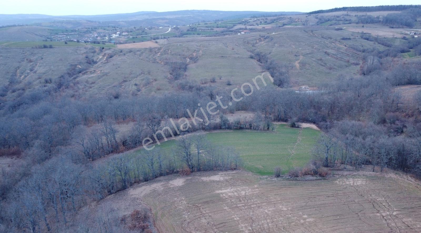 Kırklareli Kofcaz Topcular 12.177 Mt Tarla K.kartına 12 Taksit - Görsel 9