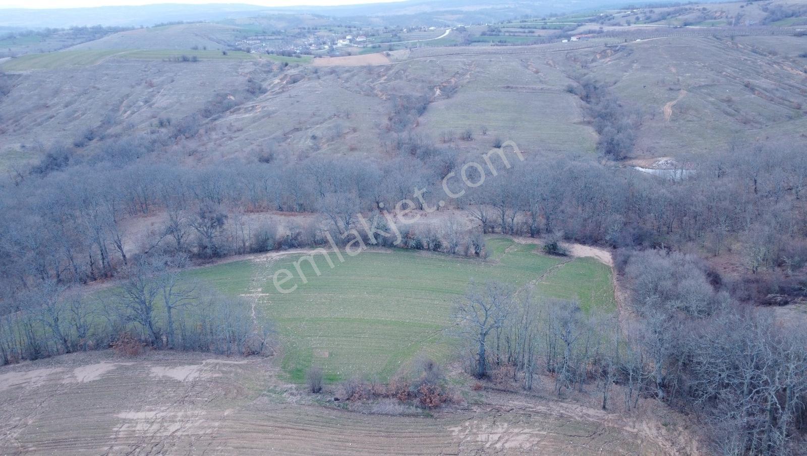 Kırklareli Kofcaz Topcular 12.177 Mt Tarla K.kartına 12 Taksit - Görsel 11