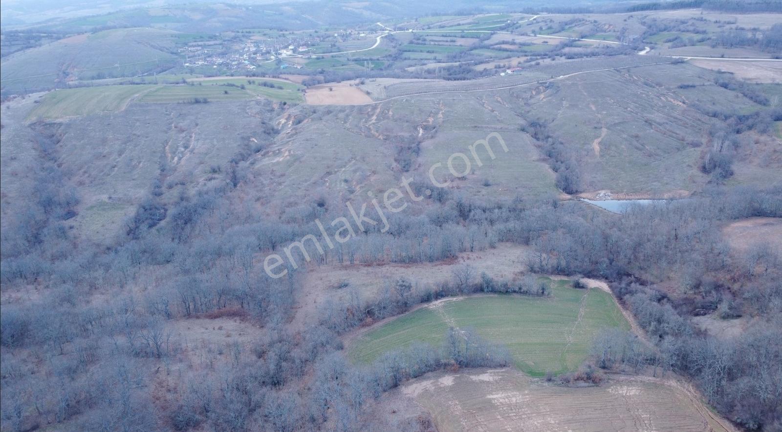 Kırklareli Kofcaz Topcular 12.177 Mt Tarla K.kartına 12 Taksit - Görsel 2