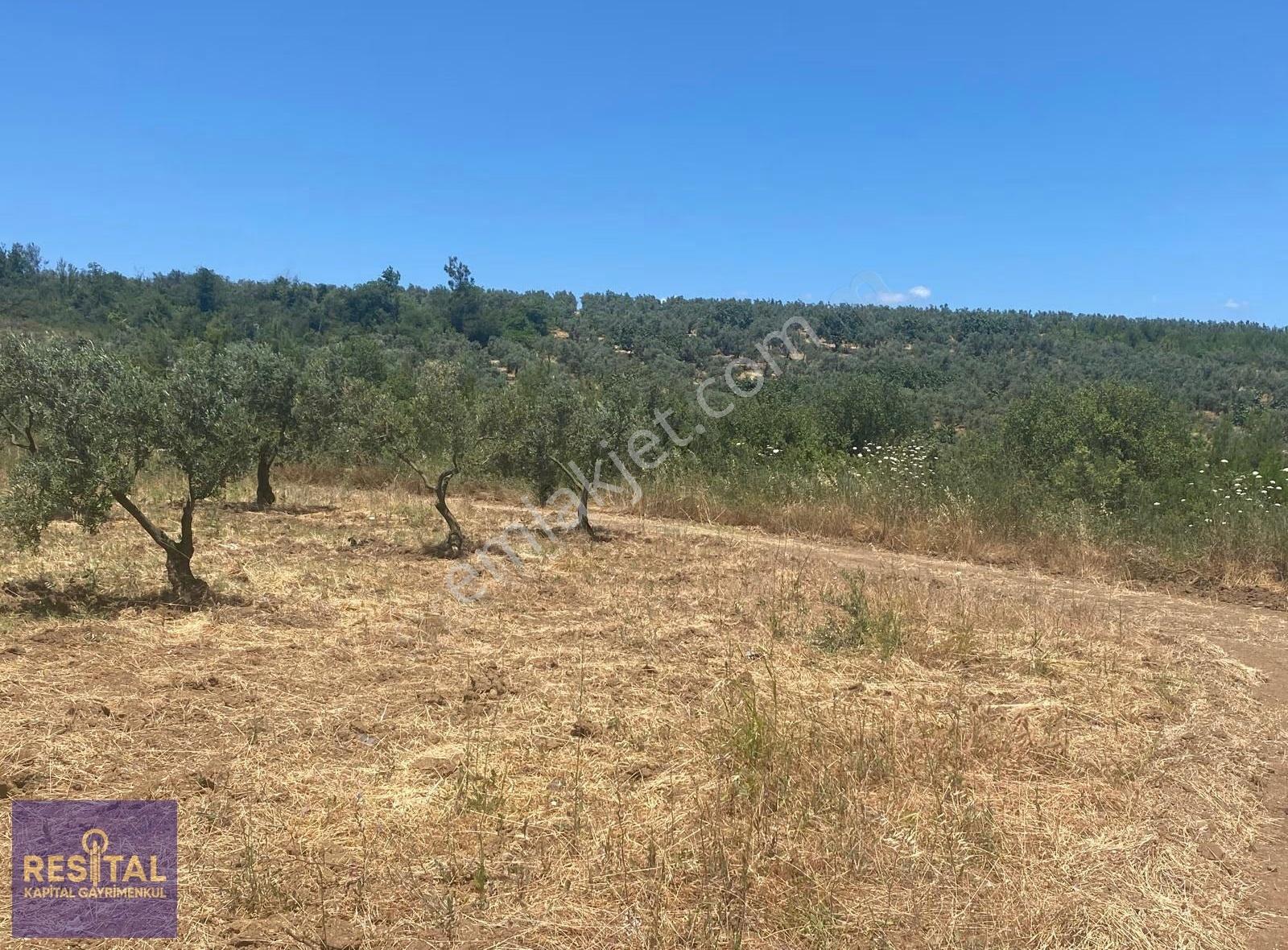 Bursa Osmangazi Aksungur'da 7,896 Metre Hisseli Tapulu Tarla - Görsel 8