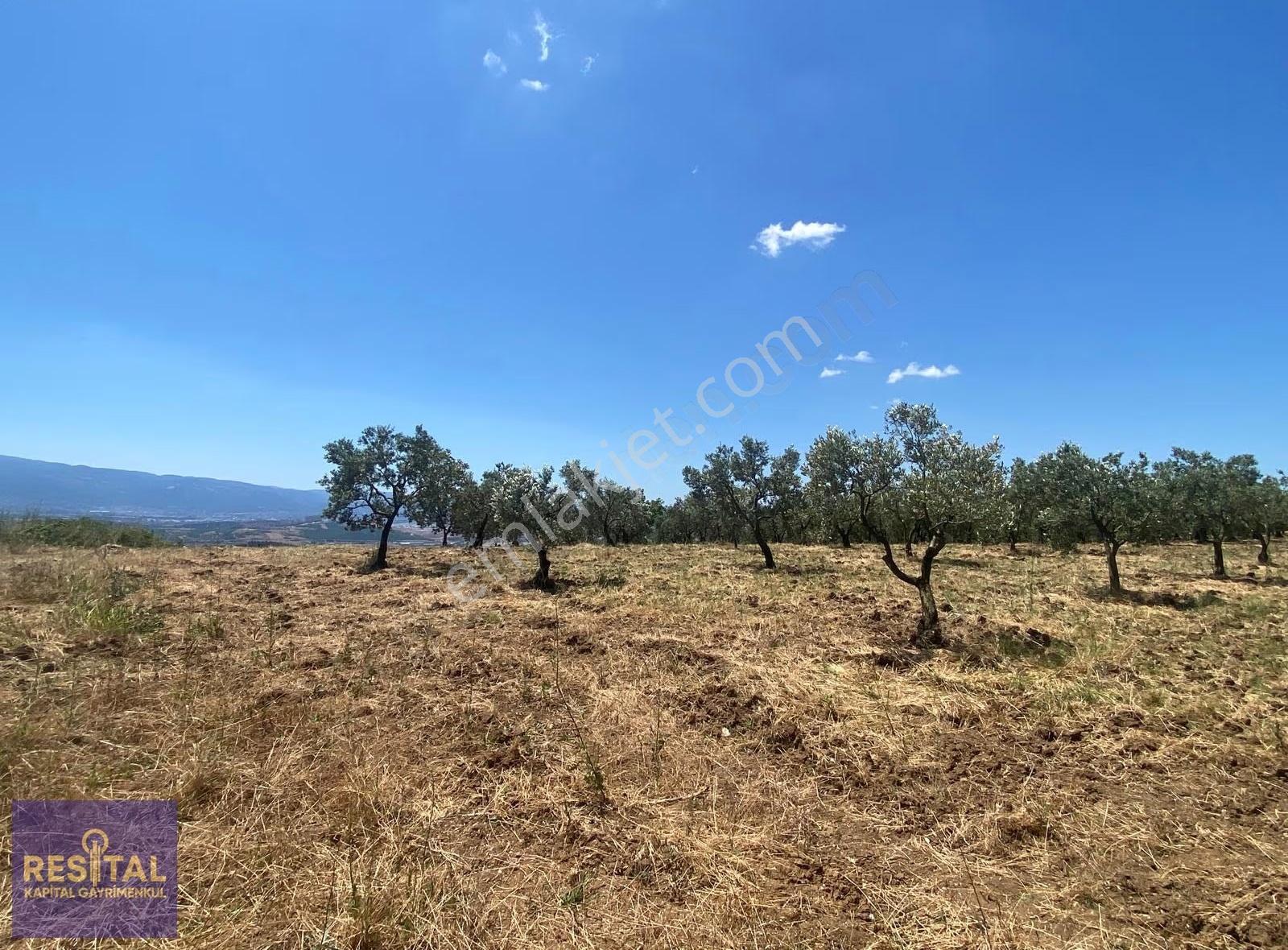 Bursa Osmangazi Aksungur'da 7,896 Metre Hisseli Tapulu Tarla - Görsel 7