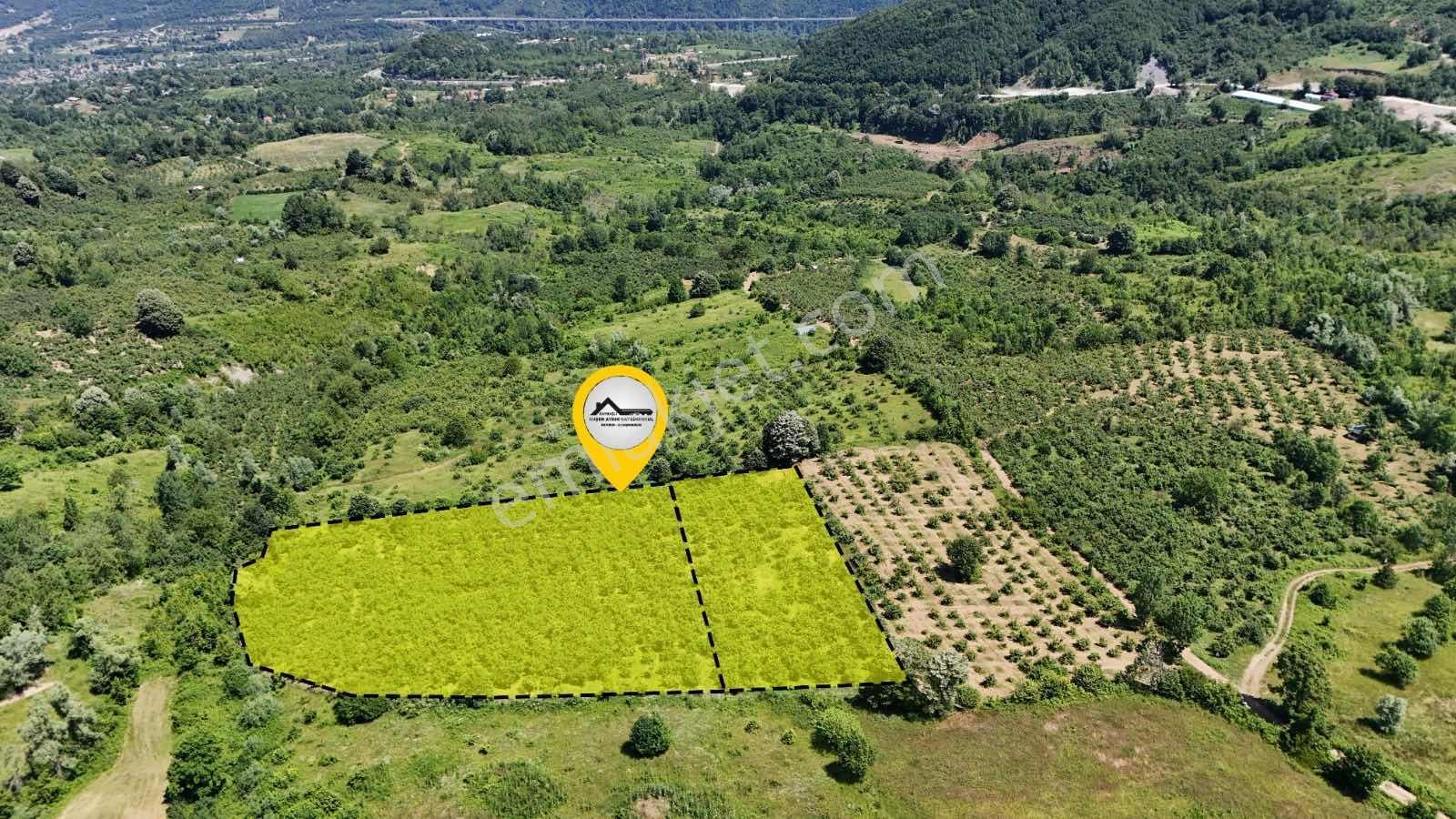 Ruşen Aydın Gyd'dan Kaynaşlı Dipsizgöl'de Satılık Fındık Tarlası - Görsel 3