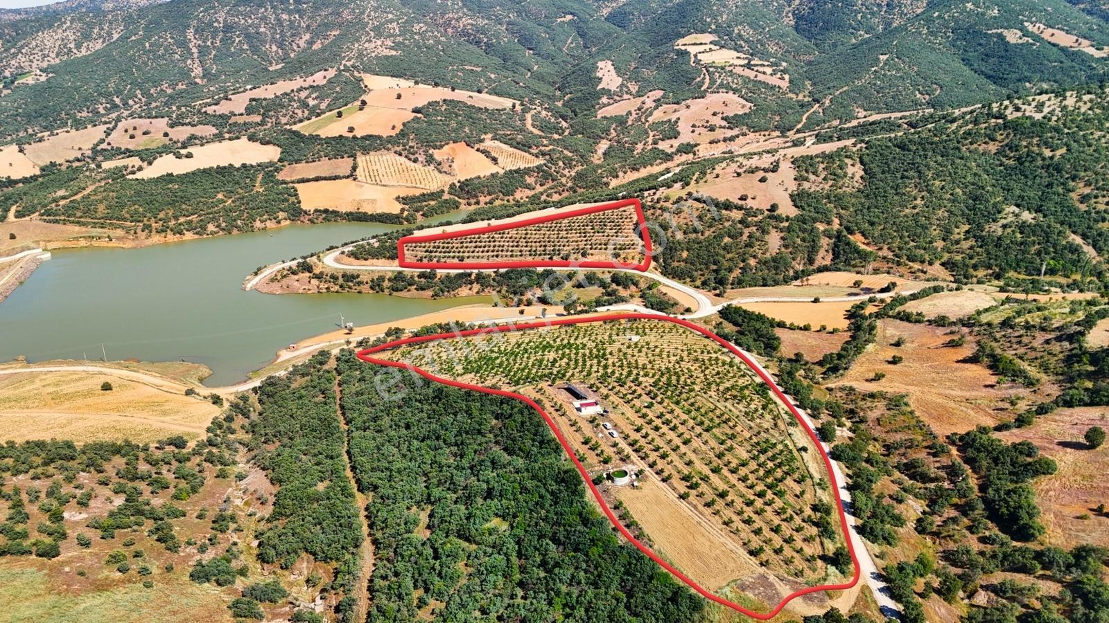 Kula'da Satılık Göl Manzaralı 52054 M2 Cevizlik (video) - Görsel 22