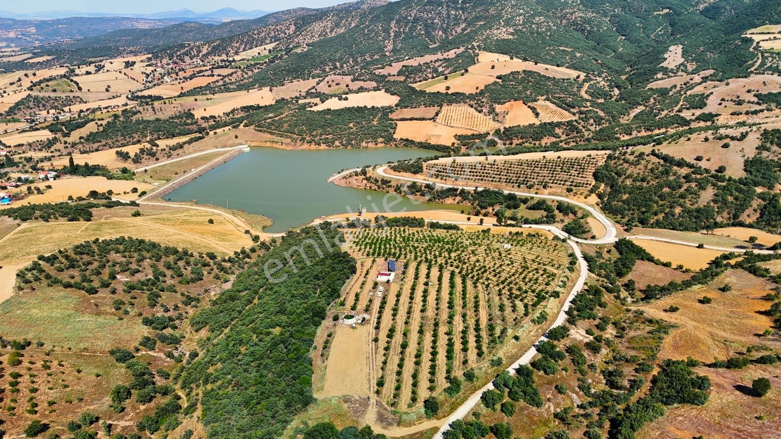 Kula'da Satılık Göl Manzaralı 52054 M2 Cevizlik (video) - Görsel 30