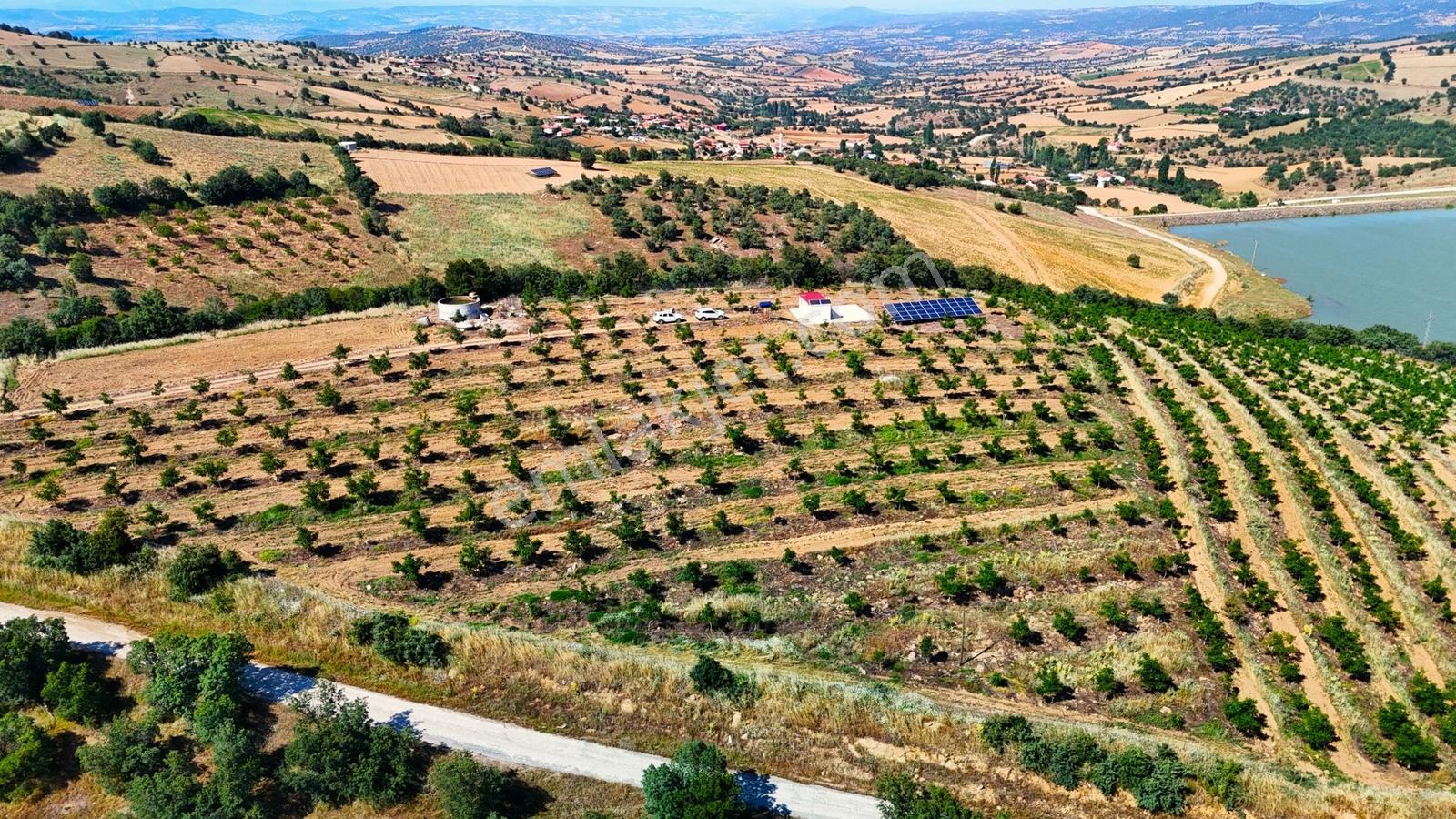 Kula'da Satılık Göl Manzaralı 52054 M2 Cevizlik (video) - Görsel 29