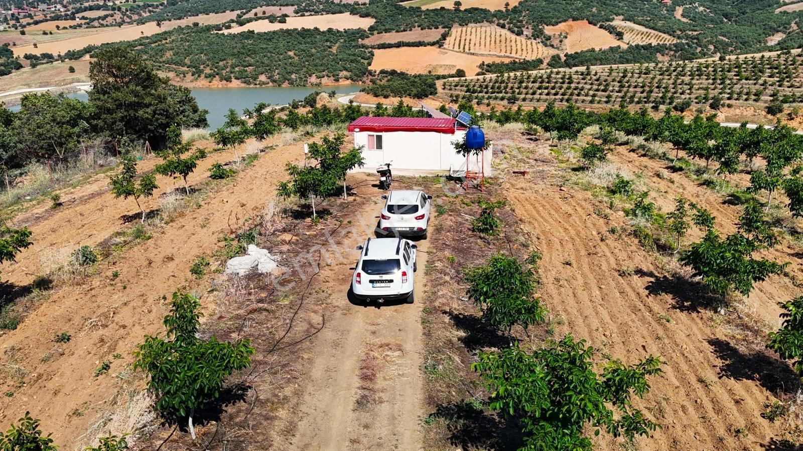 Kula'da Satılık Göl Manzaralı 52054 M2 Cevizlik (video) - Görsel 28