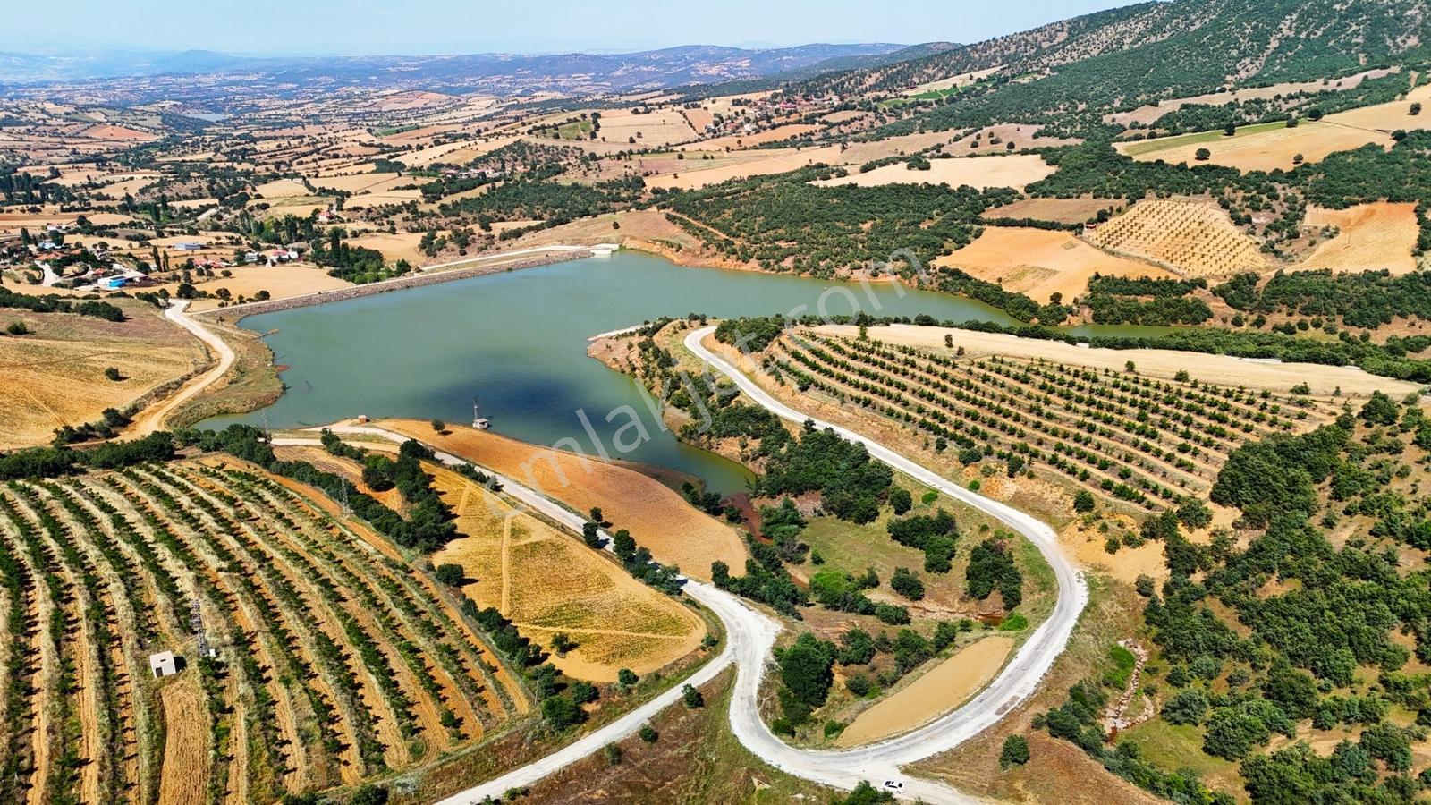 Kula'da Satılık Göl Manzaralı 52054 M2 Cevizlik (video) - Görsel 2