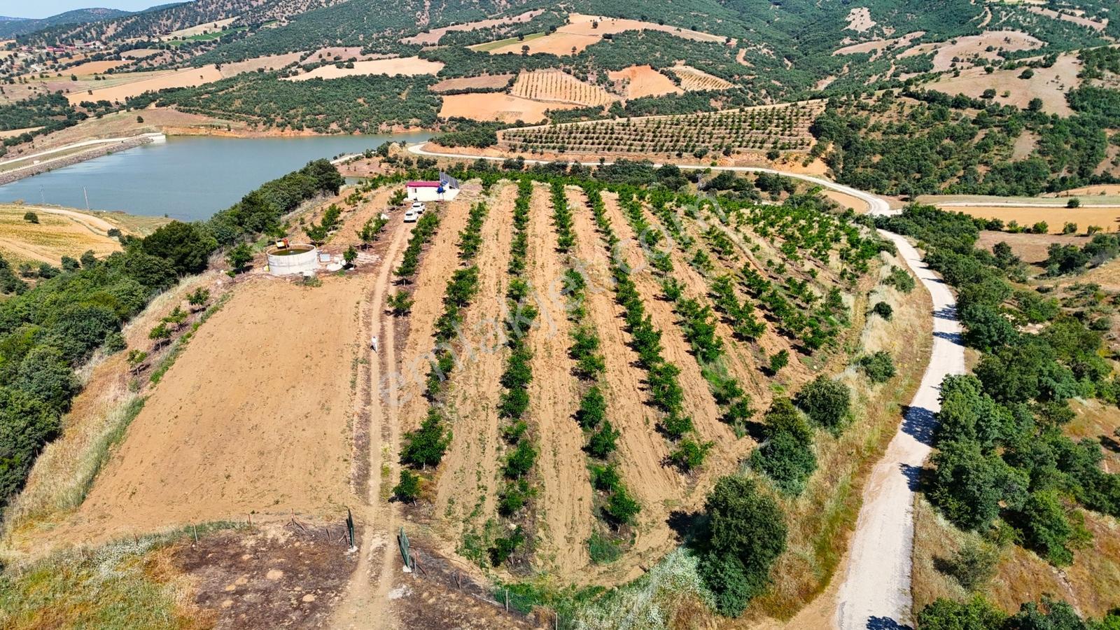 Kula'da Satılık Göl Manzaralı 52054 M2 Cevizlik (video) - Görsel 10