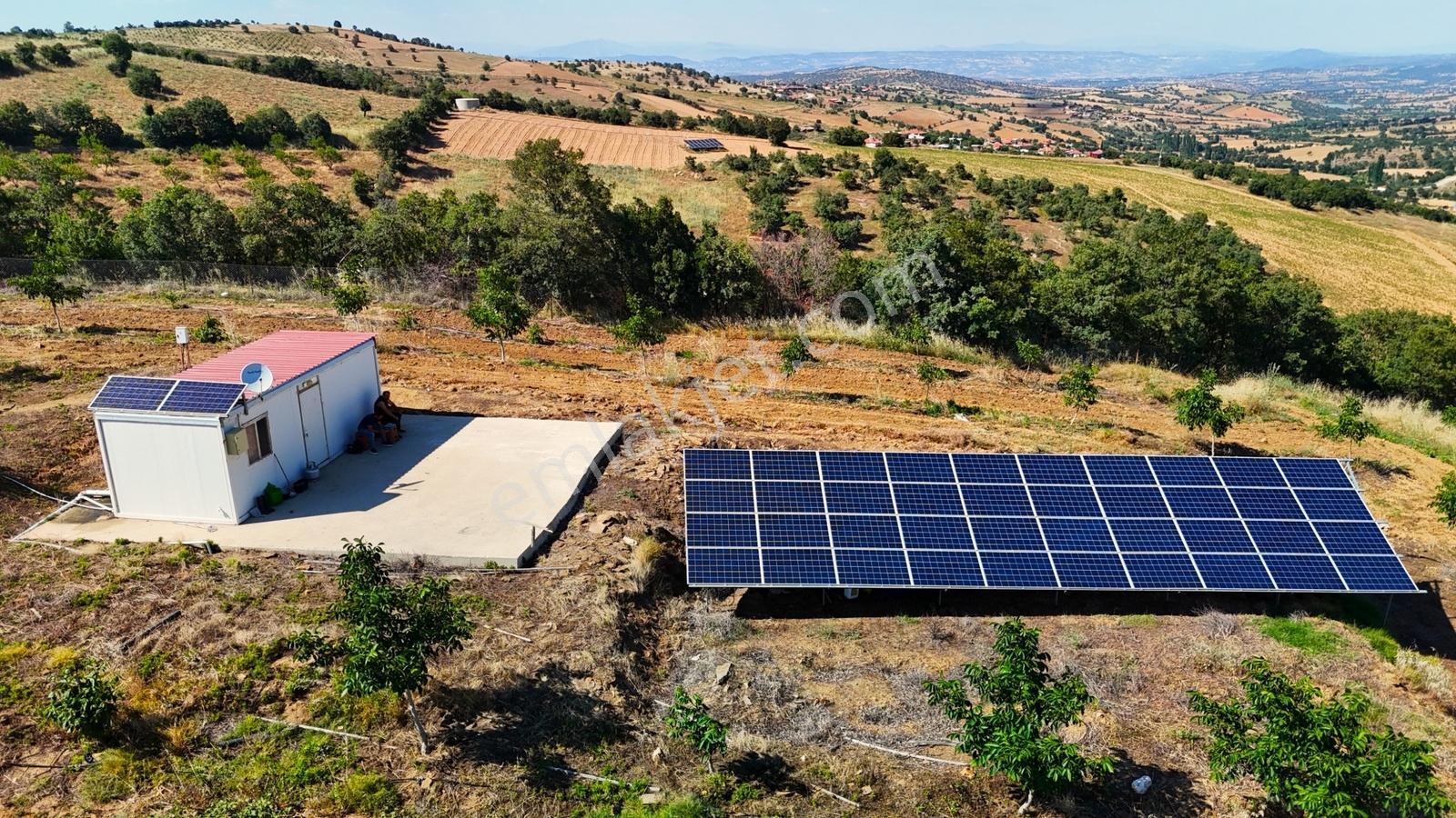 Kula'da Satılık Göl Manzaralı 52054 M2 Cevizlik (video) - Görsel 26