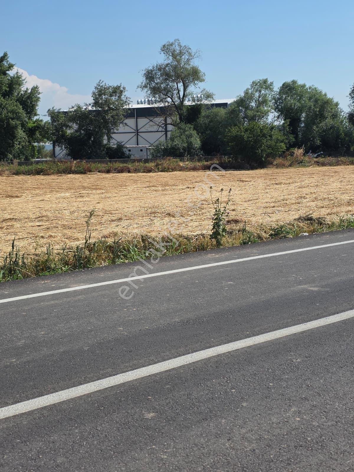 İnceoğlundan Asfalt Yola Cepheli Satılık Fırsat Arazi - Görsel 7