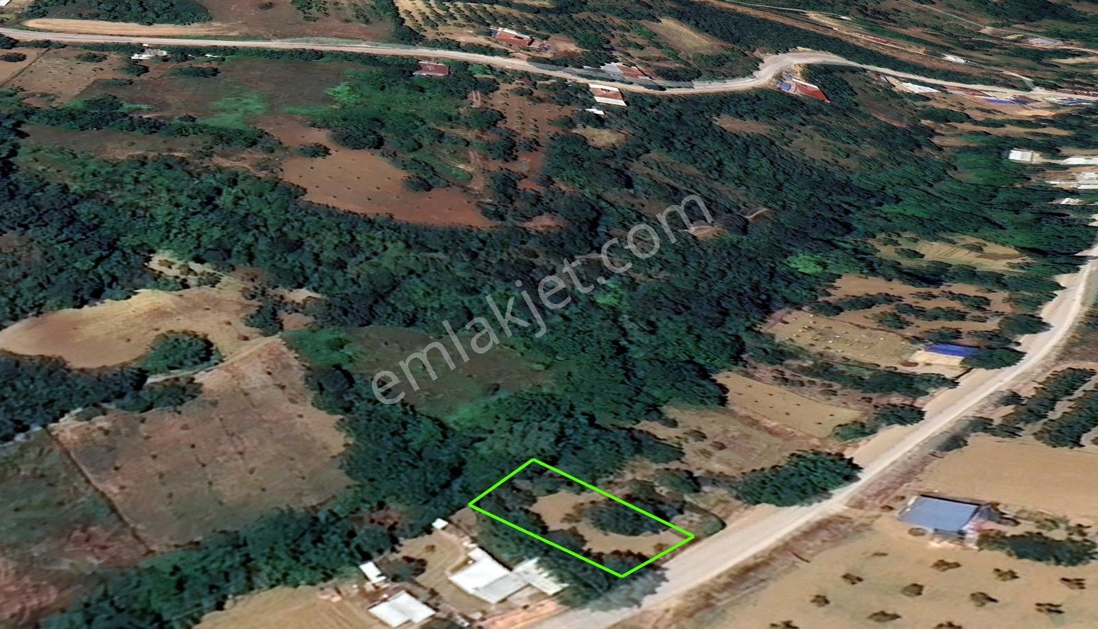 Bursa İnegöl Karagölette Asfalt Cepheli 411 M² Köyiçi Tarla - Görsel 13