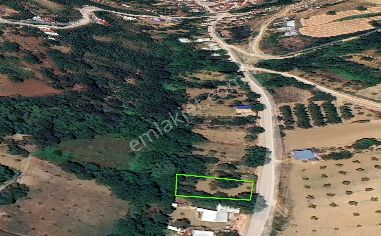 Bursa İnegöl Karagölette Asfalt Cepheli 411 M² Köyiçi Tarla - Görsel 4
