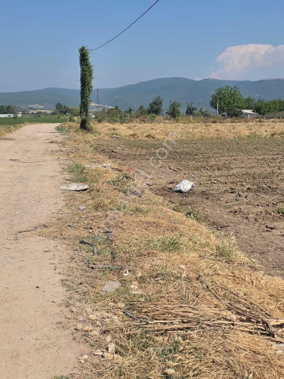 Asfalta Cephe Çiftlik Yapımına Uygun Satılık Fırsat Arazi - Görsel 9