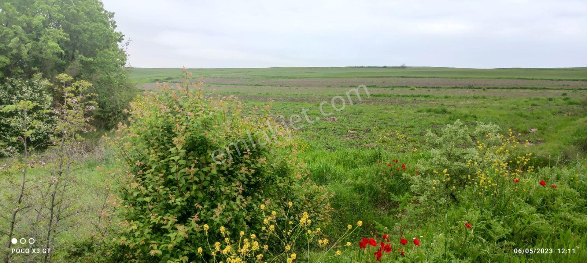 Edirne Uzunköprü Kurttepe Köyü 2075 M² Satılık Tarla