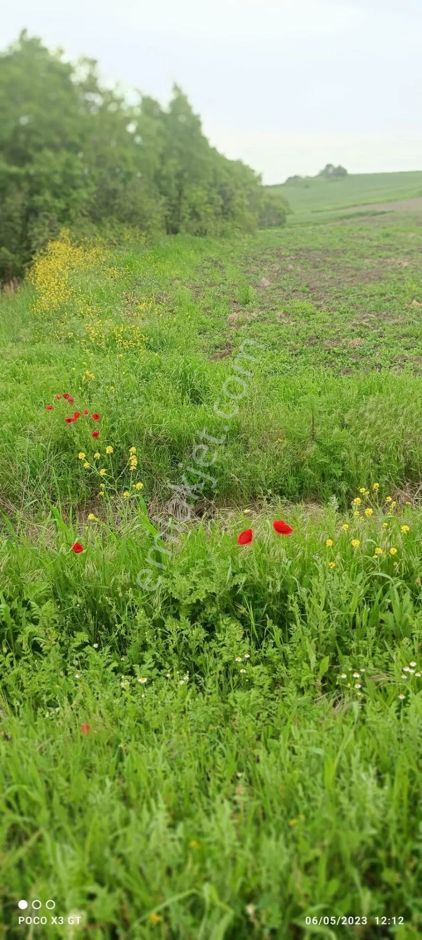 Edirne Uzunköprü Kurttepe Köyü 2075 M² Satılık Tarla - Görsel 6