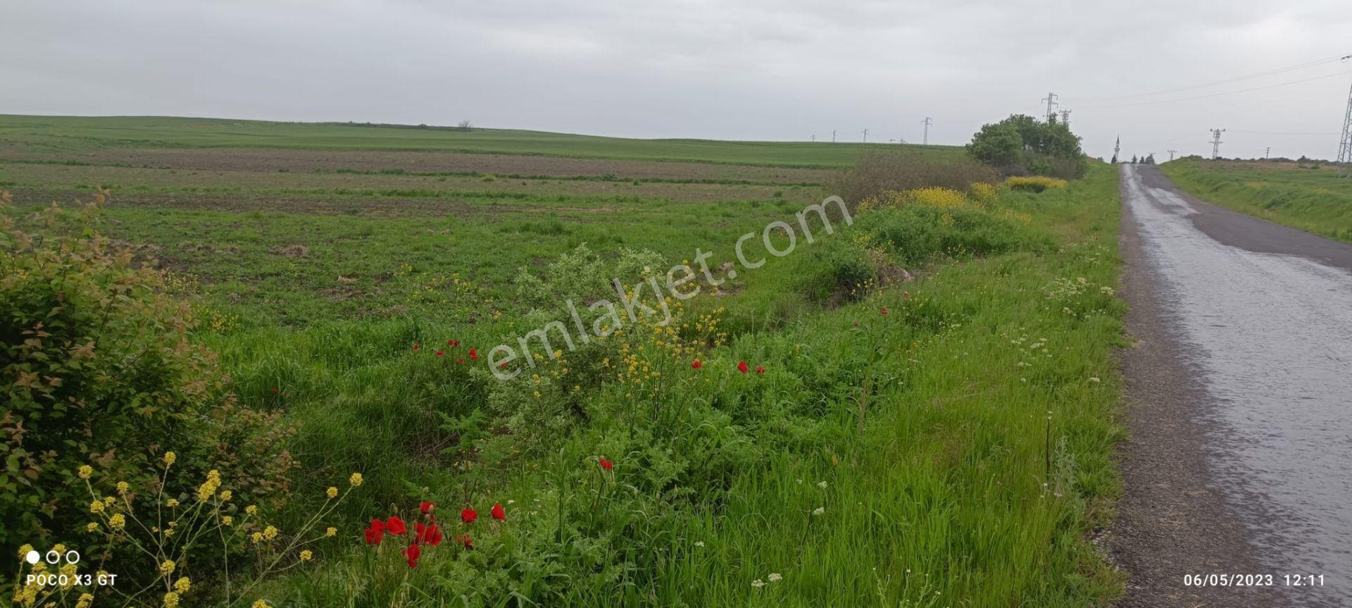Edirne Uzunköprü Kurttepe Köyü 2075 M² Satılık Tarla - Görsel 8