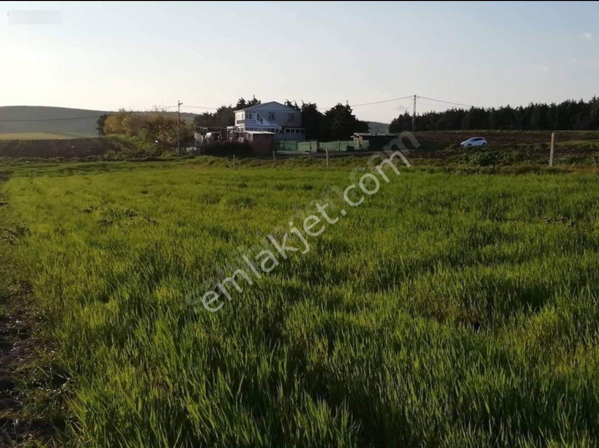 Silivri Büyükkılıç Da Hisseli Tarla - Görsel 13