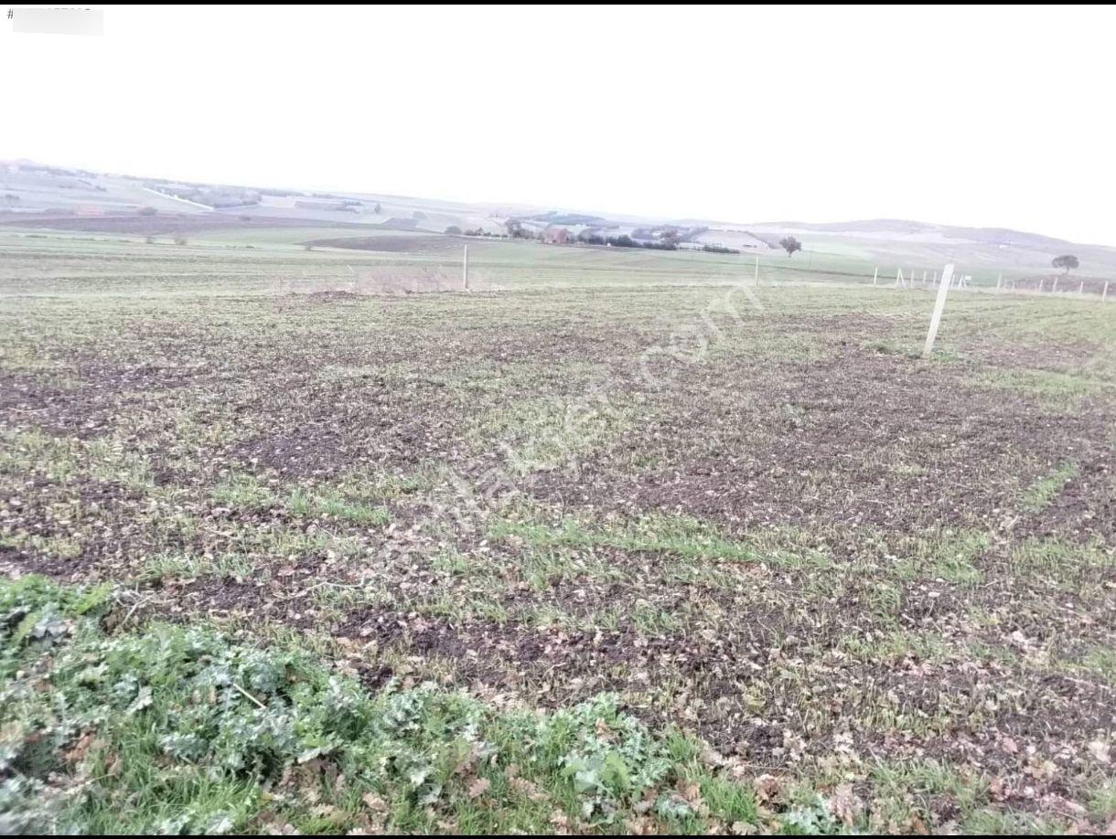 Silivri Büyükkılıç Da Hisseli Tarla - Görsel 11