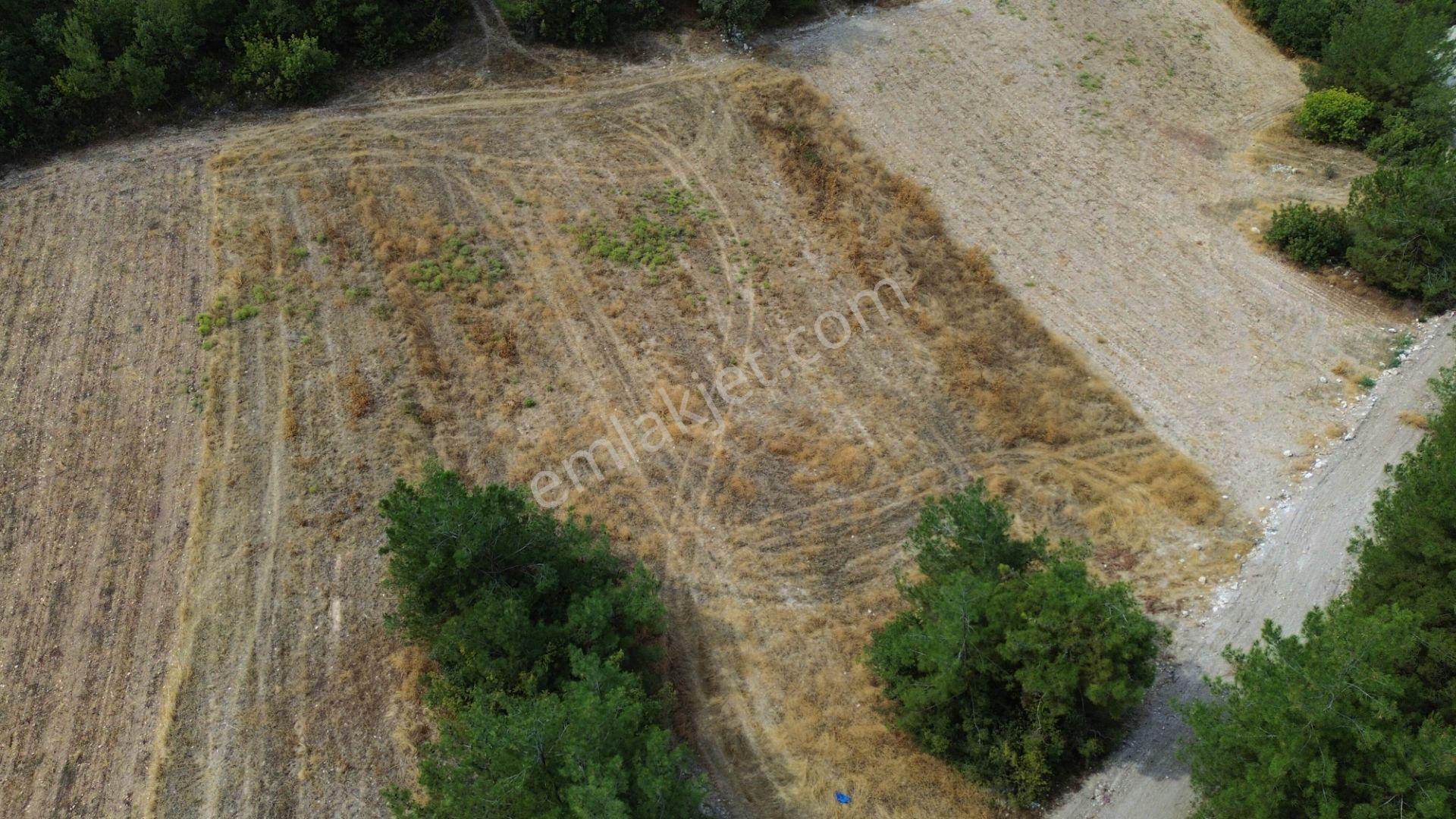 Çamönü Mahallesinde 1850 M2 Tek Tapu Fırsat Tarla - Görsel 8