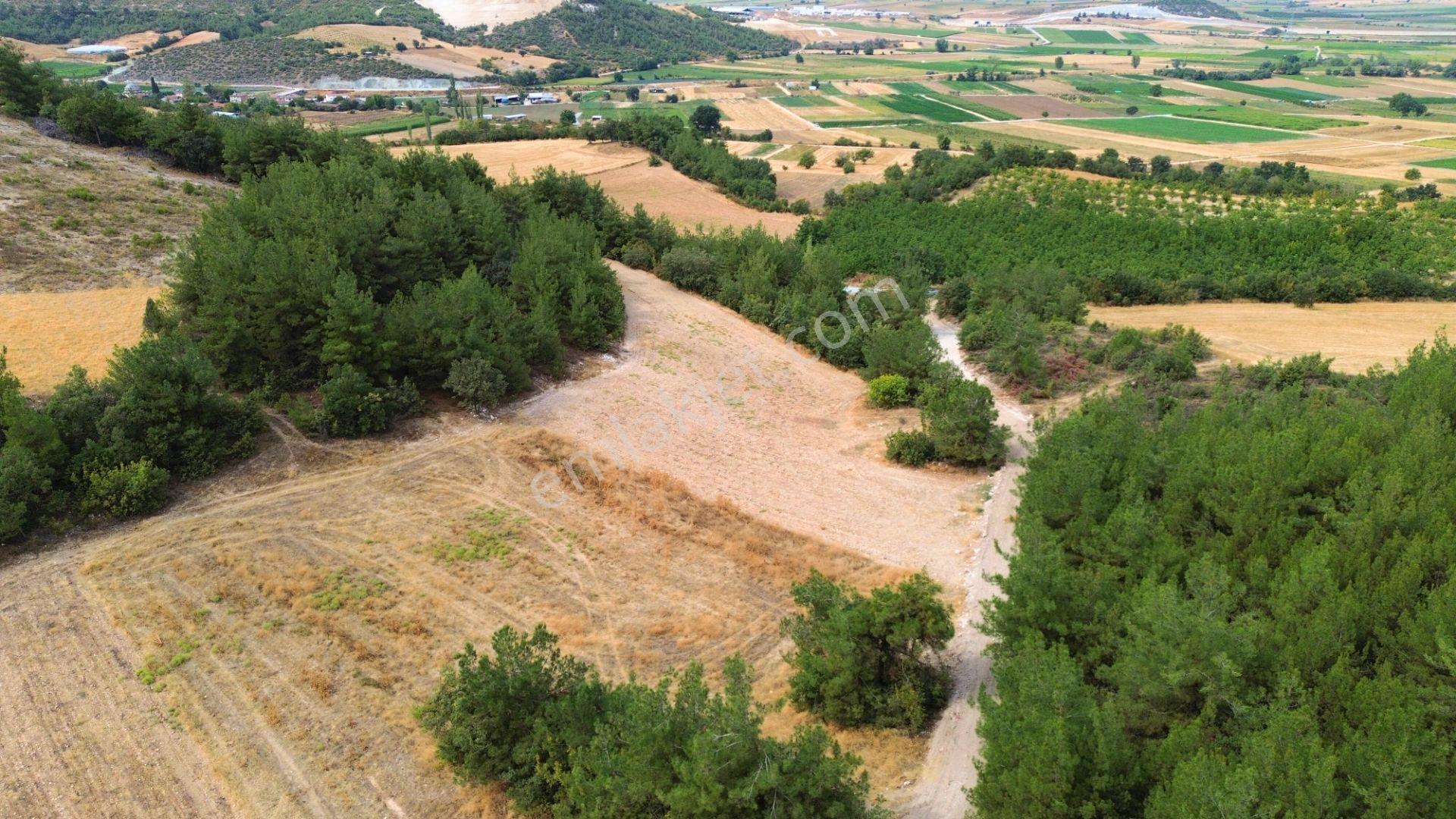 Çamönü Mahallesinde 1850 M2 Tek Tapu Fırsat Tarla - Görsel 3