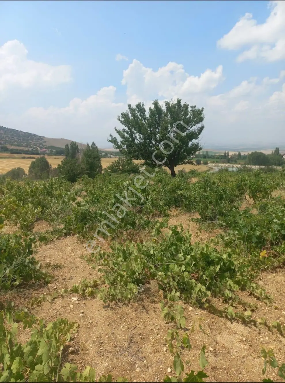 Niğde Merkez İlçe Yukarıdeğirmenli De Satılık 2.075m2 Tek Tapulu