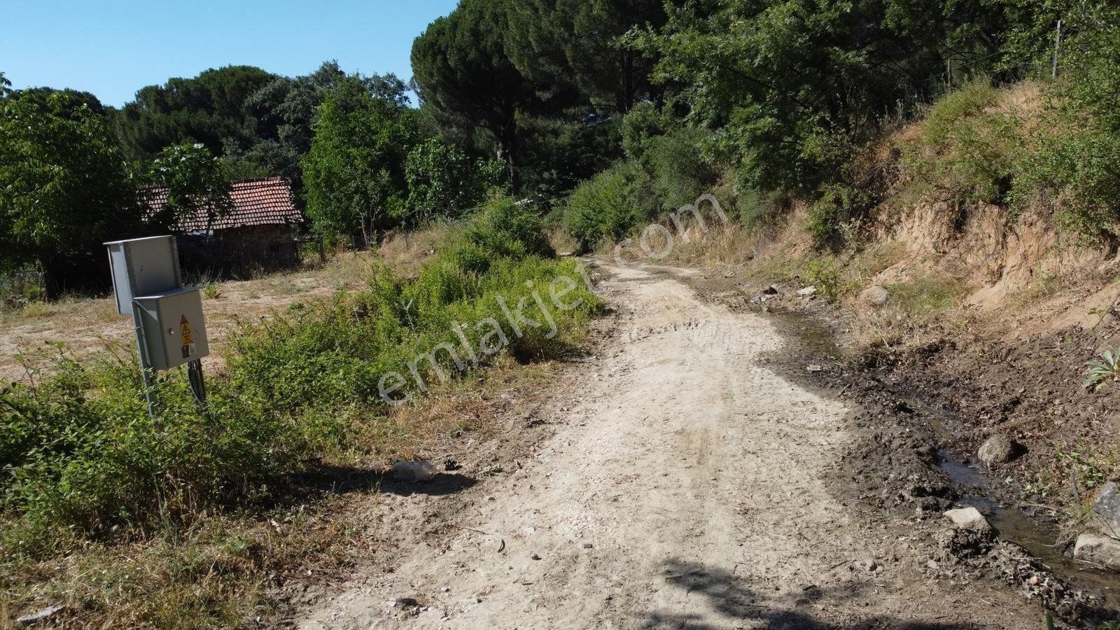 Pinus Gayrimenkulden//kozak Yukarıbeyde Köycivarı 5.424 M² Arazi - Görsel 13