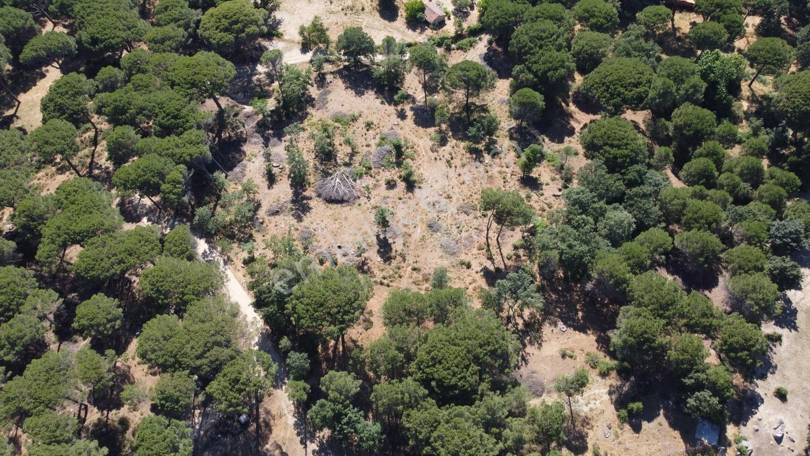 Pinus Gayrimenkulden//kozak Yukarıbeyde Köycivarı 5.424 M² Arazi - Görsel 4