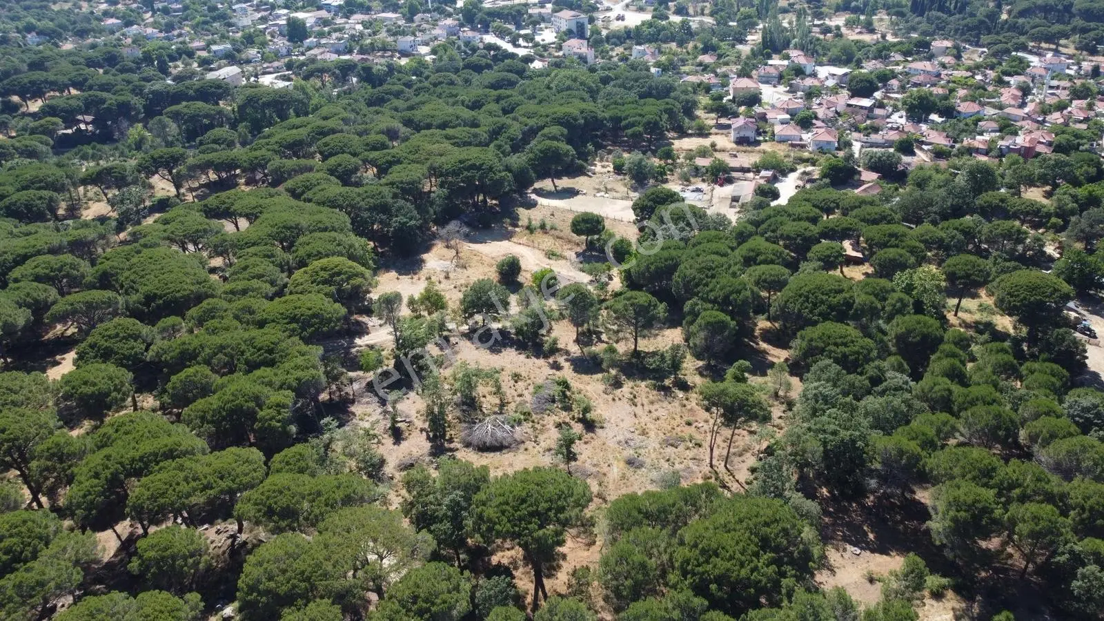 Pinus Gayrimenkulden//kozak Yukarıbeyde Köycivarı 5.424 M² Arazi - Görsel 5