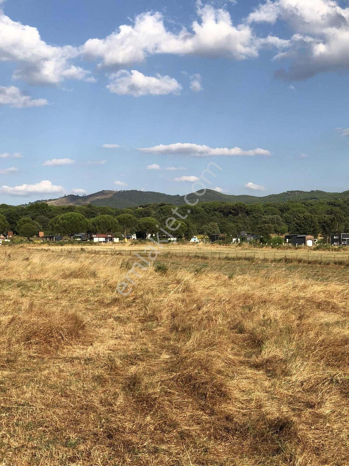 Bergama Kozak Yukarıbey Mah Satılık Tarla - Görsel 20