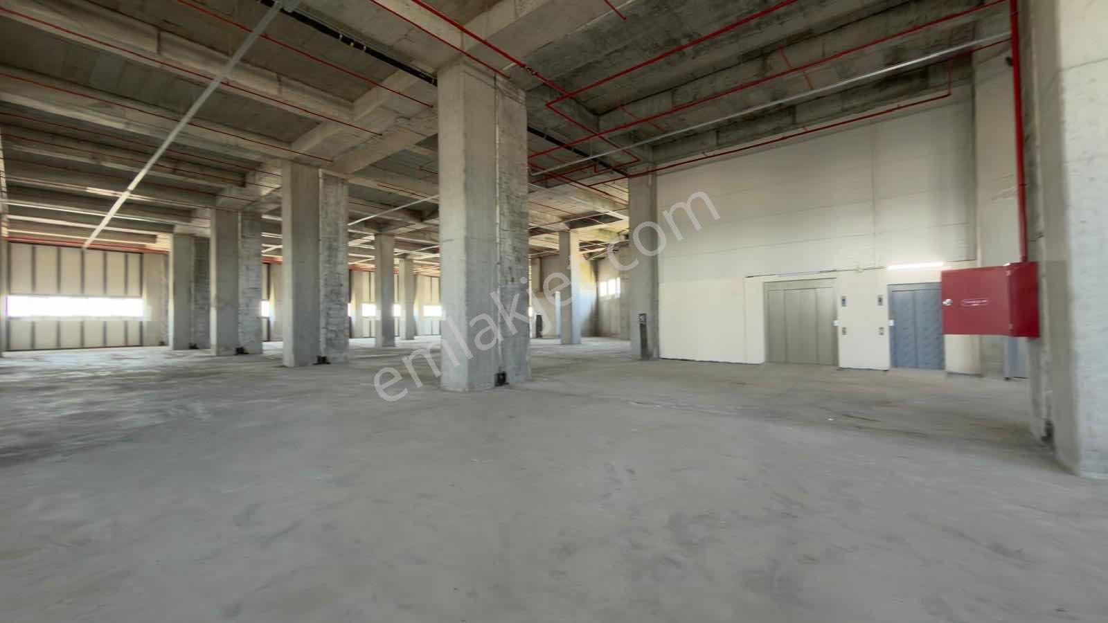Hadımköy Yolu Cadde Üzerinde Tır Girişli 7000 M2 Depo - Görsel 7