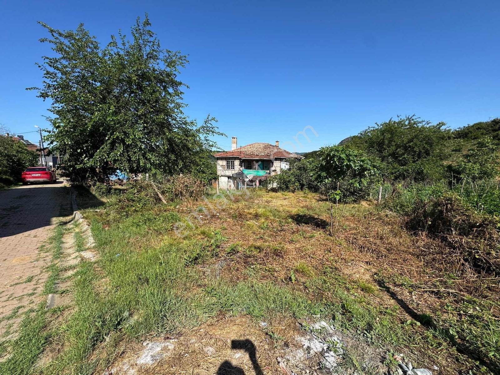 Ağva/kalem İmarlı Köy İçi Köşe Parsel 239m2 - Görsel 3
