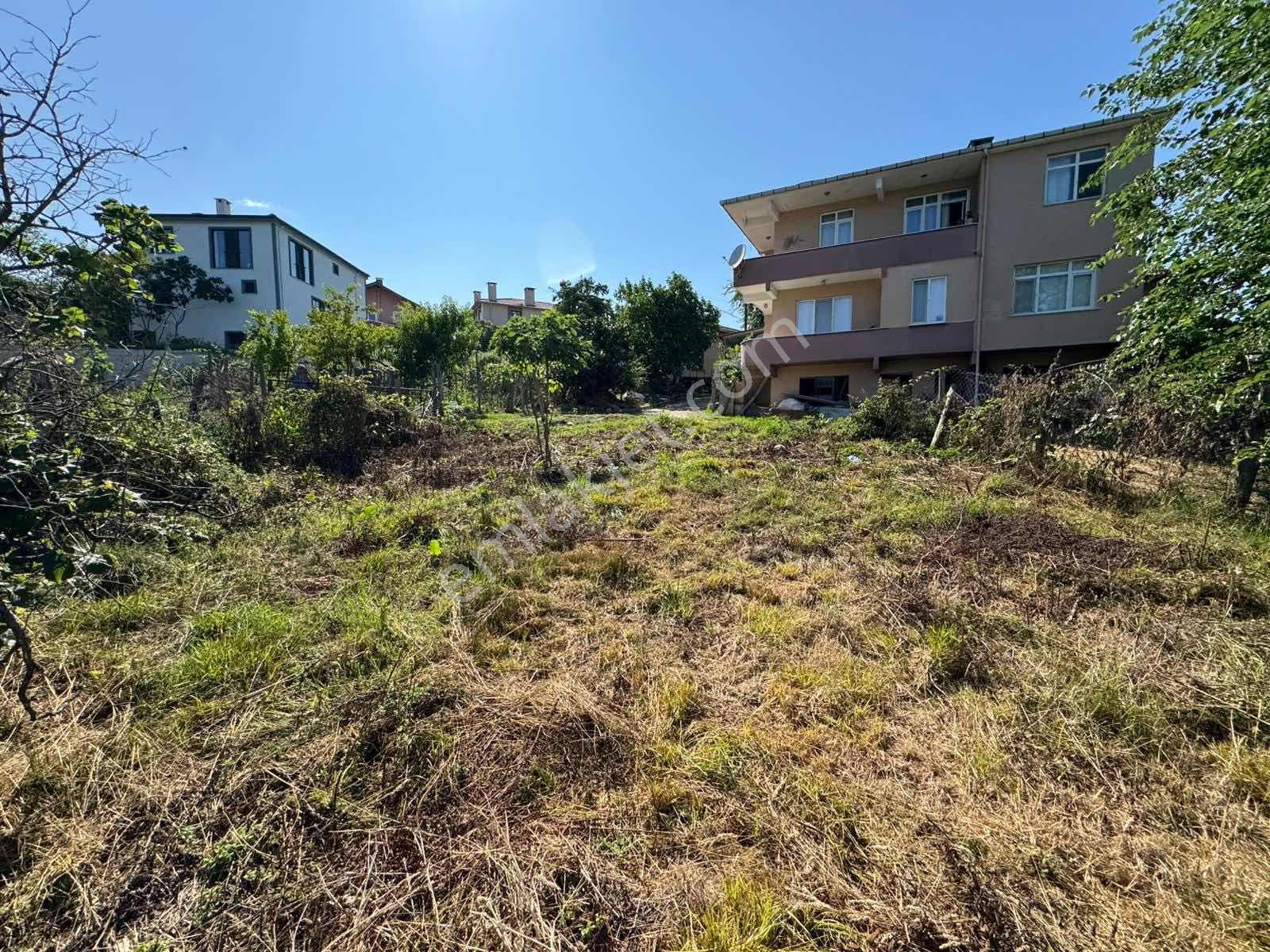 Ağva/kalem İmarlı Köy İçi Köşe Parsel 239m2 - Görsel 21