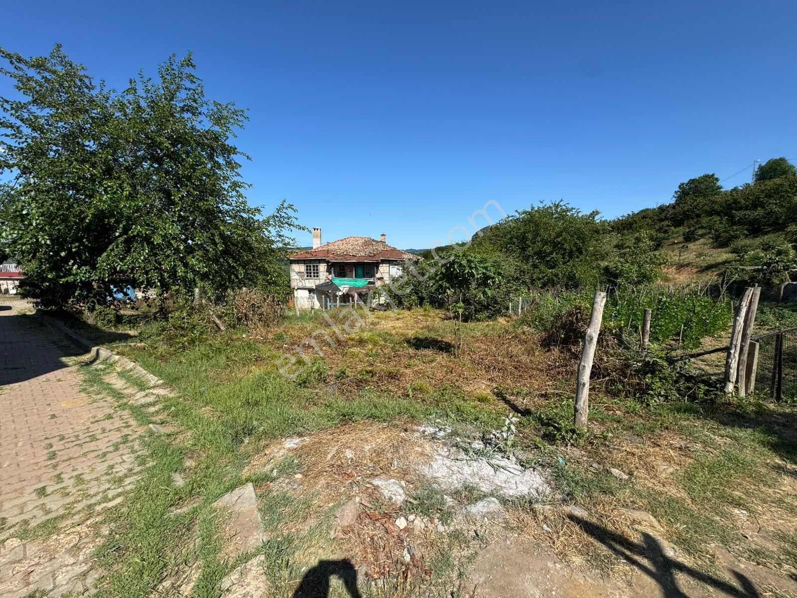 Ağva/kalem İmarlı Köy İçi Köşe Parsel 239m2 - Görsel 15