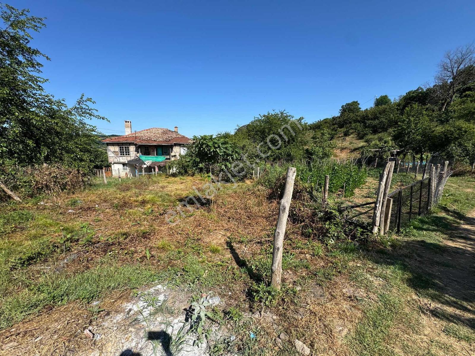Ağva/kalem İmarlı Köy İçi Köşe Parsel 239m2 - Görsel 8
