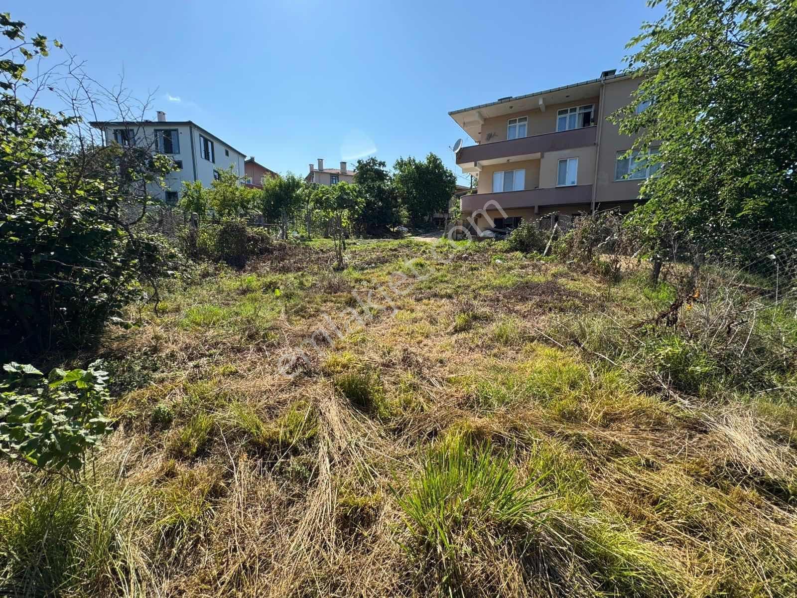 Ağva/kalem İmarlı Köy İçi Köşe Parsel 239m2 - Görsel 18