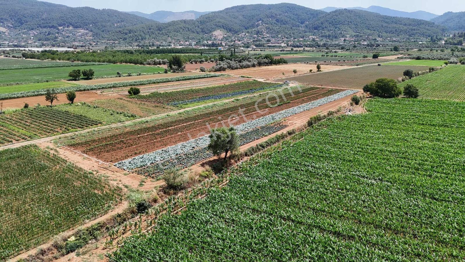 Bozüyük(güzelköy) Gökpınar Arasında 5.722 M2 Nefis Bir Arazi - Görsel 24