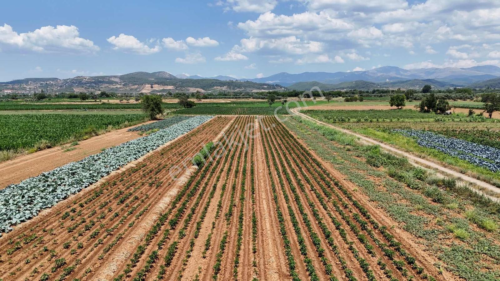 Bozüyük(güzelköy) Gökpınar Arasında 5.722 M2 Nefis Bir Arazi - Görsel 28
