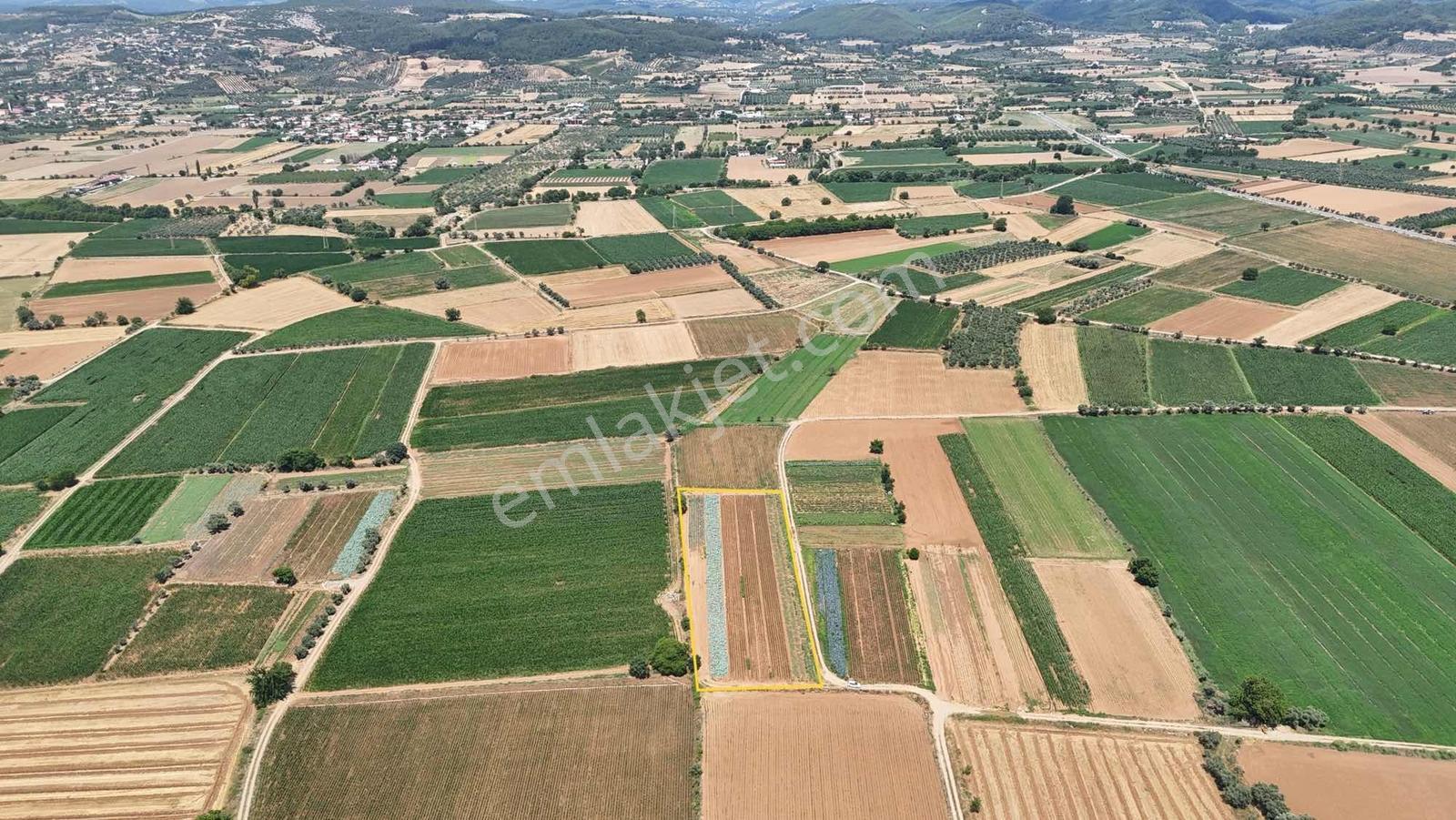 Bozüyük(güzelköy) Gökpınar Arasında 5.722 M2 Nefis Bir Arazi - Görsel 9