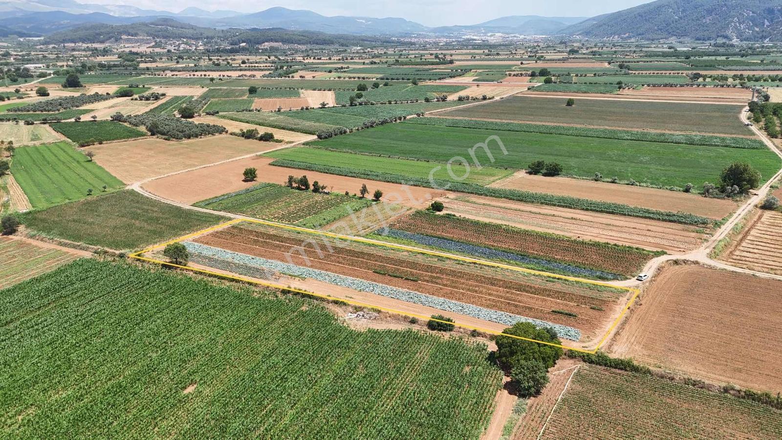 Bozüyük(güzelköy) Gökpınar Arasında 5.722 M2 Nefis Bir Arazi - Görsel 6