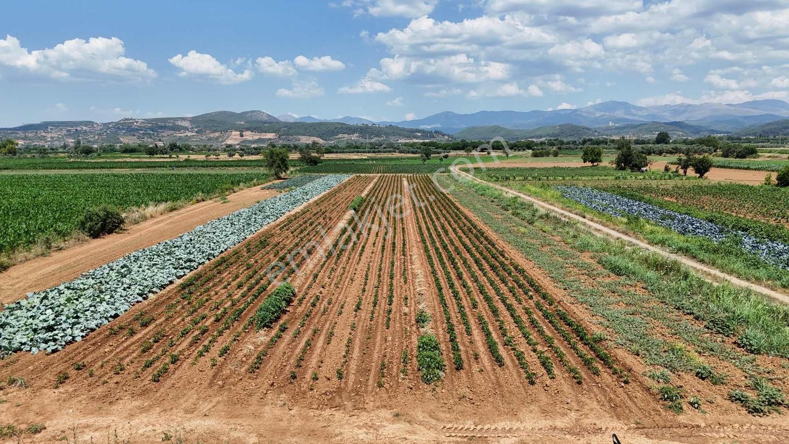 Bozüyük(güzelköy) Gökpınar Arasında 5.722 M2 Nefis Bir Arazi - Görsel 2