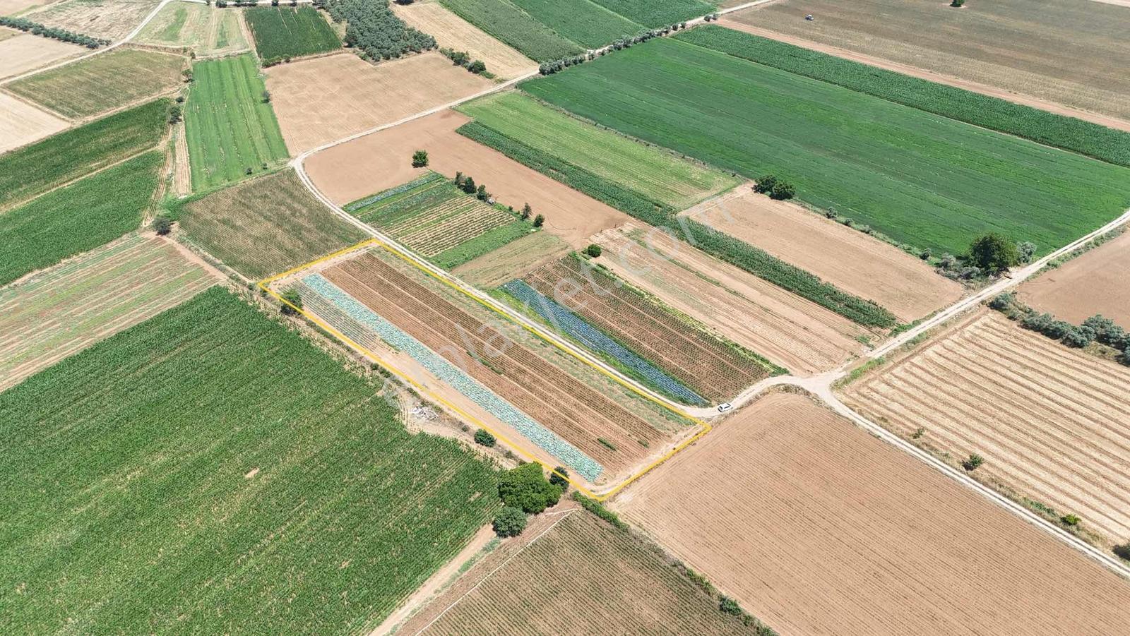 Bozüyük(güzelköy) Gökpınar Arasında 5.722 M2 Nefis Bir Arazi - Görsel 10