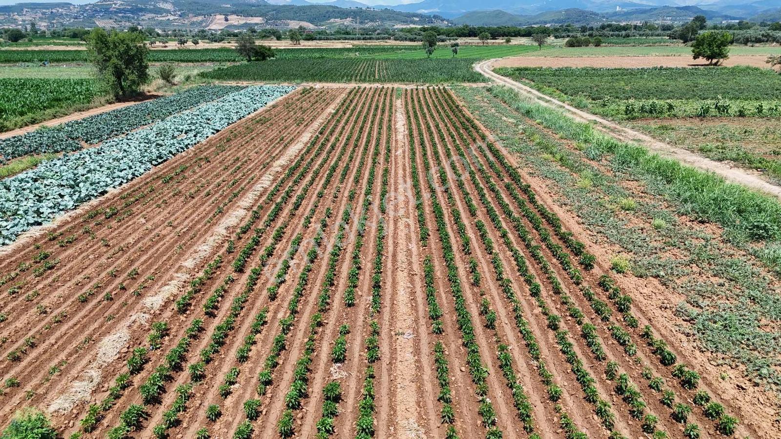 Bozüyük(güzelköy) Gökpınar Arasında 5.722 M2 Nefis Bir Arazi - Görsel 26