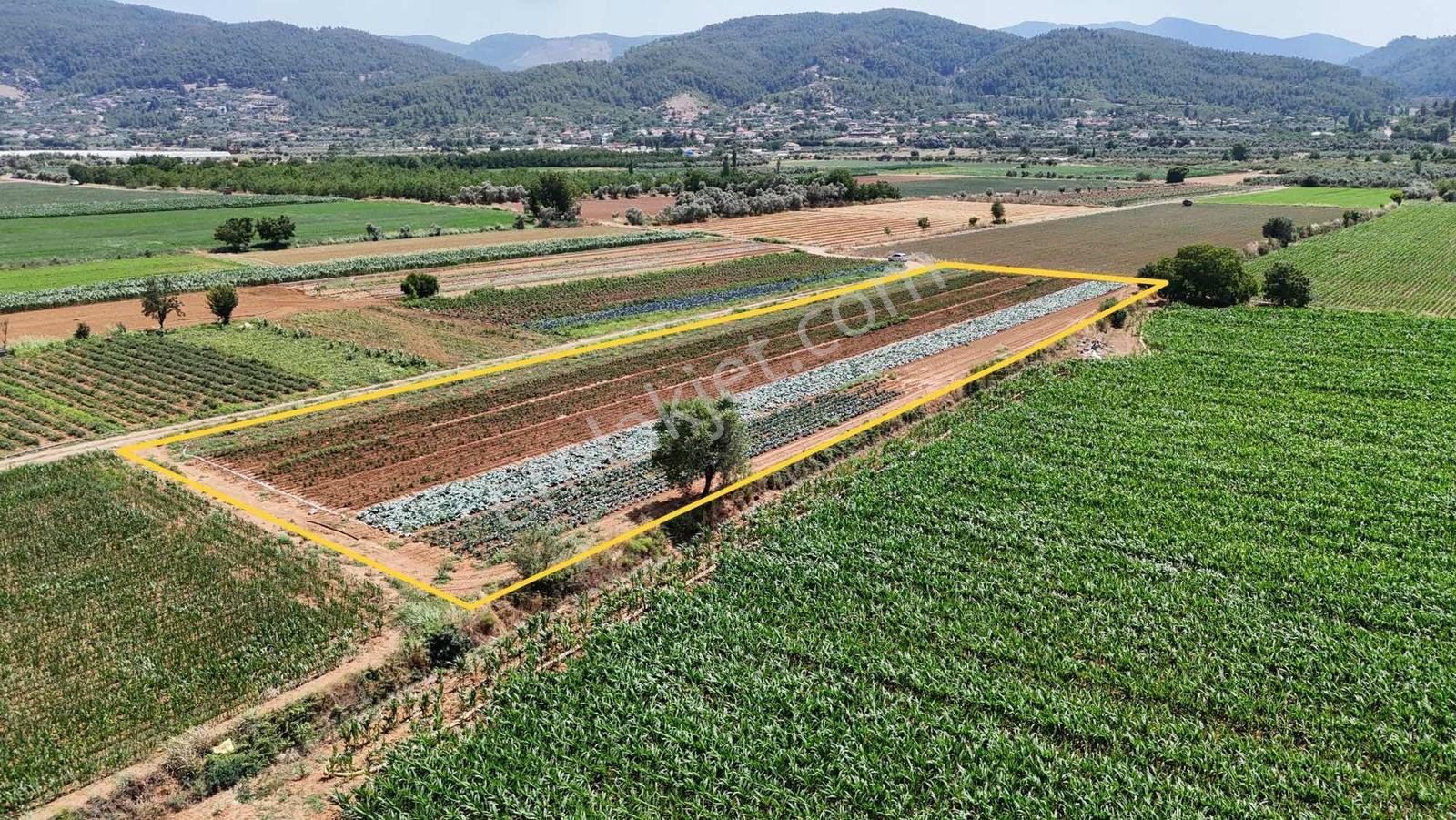 Bozüyük(güzelköy) Gökpınar Arasında 5.722 M2 Nefis Bir Arazi - Görsel 7