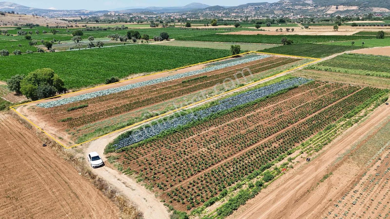 Bozüyük(güzelköy) Gökpınar Arasında 5.722 M2 Nefis Bir Arazi - Görsel 13